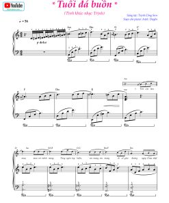Tuổi đá buồn đệm hát slow rook 6/8